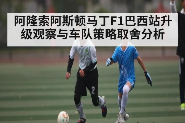 阿隆索阿斯顿马丁F1巴西站升级观察与车队策略取舍分析 | BSports